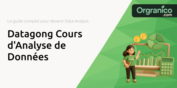 Datagong Cours d'Analyse de Données: Le guide complet pour devenir Data Analyst