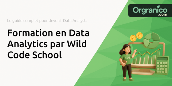 Formation en Data Analytics par Wild Code School: Le Guide Complet pour Devenir Data Analyst