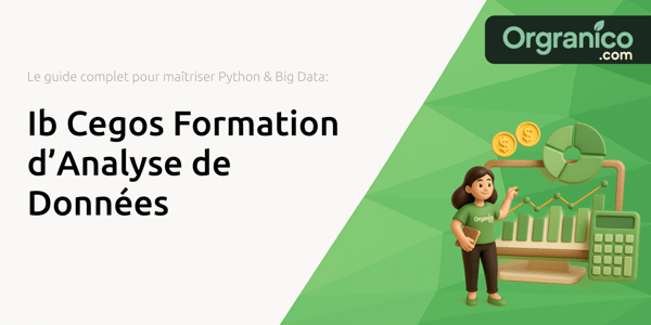 Ib Cegos Formation d’Analyse de Données: Le guide complet pour maîtriser Python et le Big Data